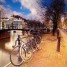 По Амстердаму на велосипеде: правила и маршруты