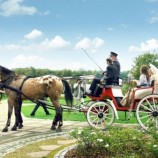 Свадьба в Польше — что может быть лучше проведения свадьбы в одном из самых красивых мест на земле?